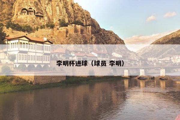 李明杯进球（球员 李明）