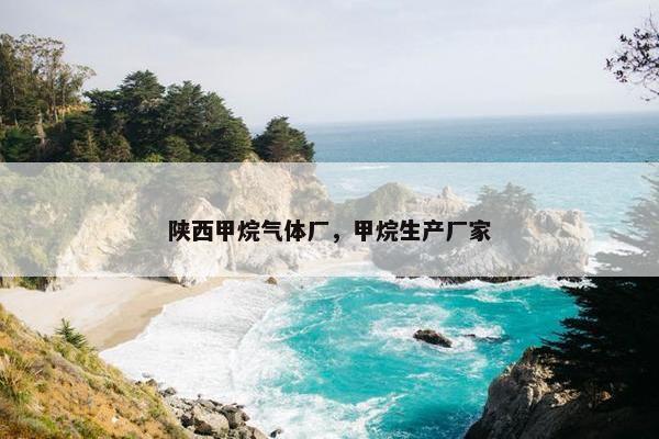 陕西甲烷气体厂，甲烷生产厂家