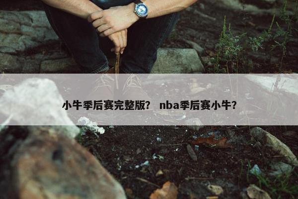 小牛季后赛完整版？ nba季后赛小牛？