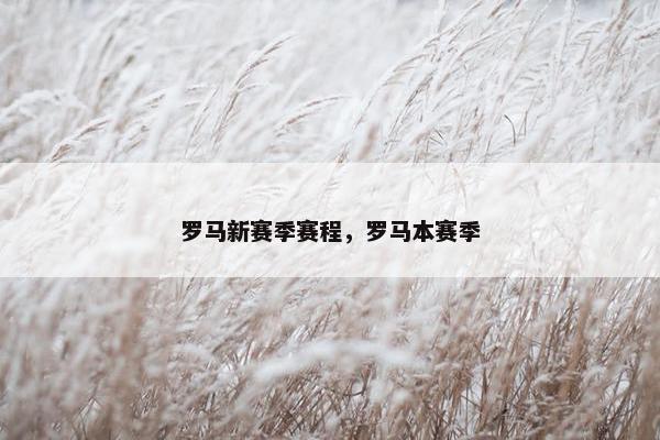 罗马新赛季赛程，罗马本赛季