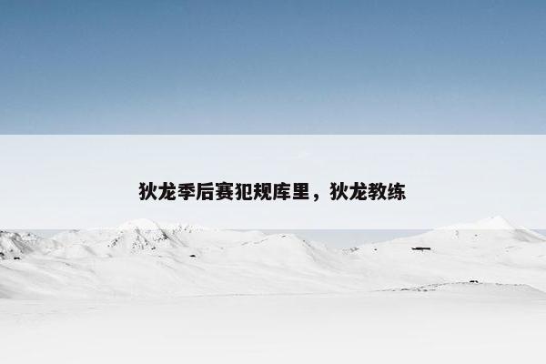 狄龙季后赛犯规库里，狄龙教练