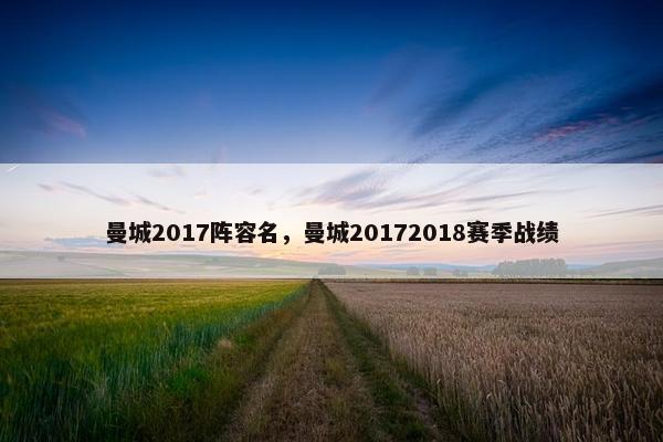 曼城2017阵容名，曼城20172018赛季战绩