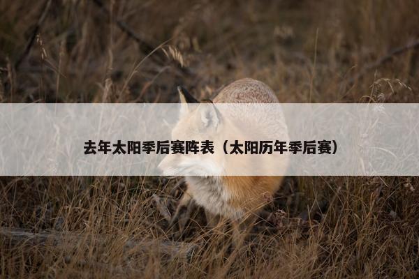 去年太阳季后赛阵表（太阳历年季后赛）