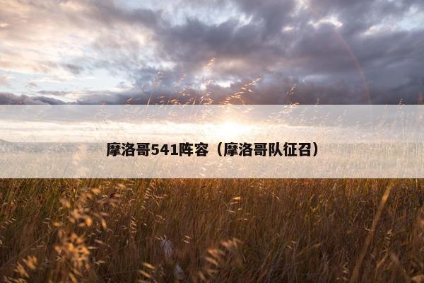 摩洛哥541阵容（摩洛哥队征召）