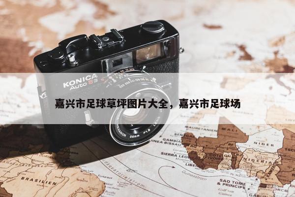 嘉兴市足球草坪图片大全，嘉兴市足球场
