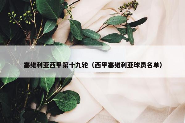 塞维利亚西甲第十九轮（西甲塞维利亚球员名单）