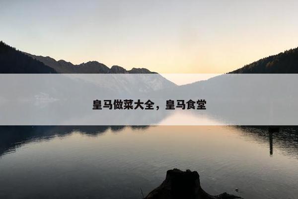 皇马做菜大全，皇马食堂