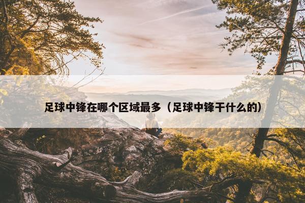 足球中锋在哪个区域最多（足球中锋干什么的）