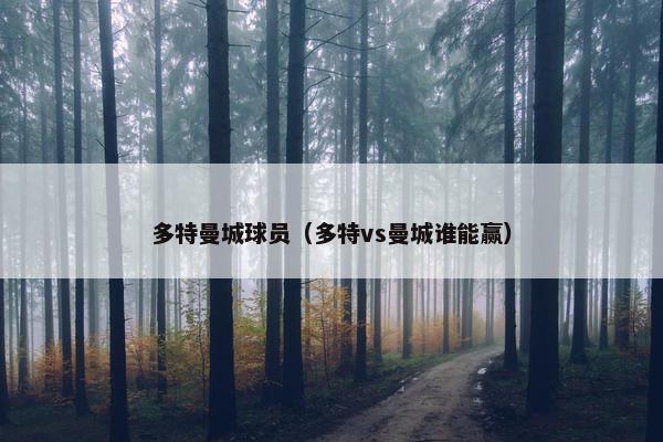 多特曼城球员（多特vs曼城谁能赢）