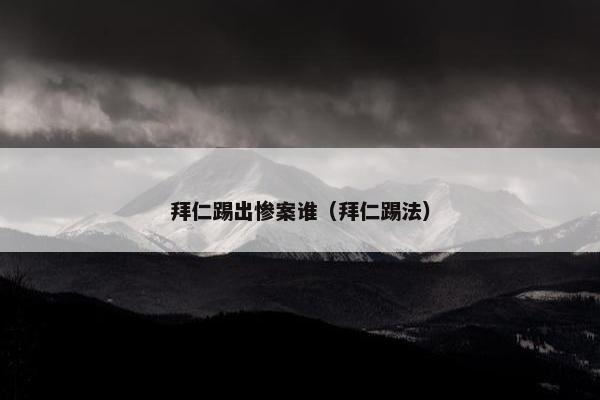 拜仁踢出惨案谁（拜仁踢法）