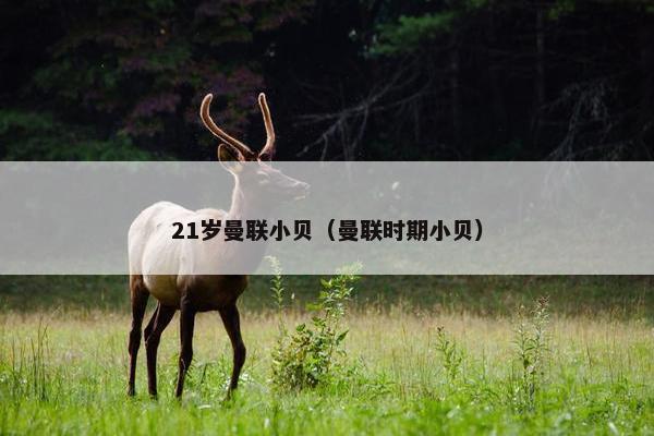 21岁曼联小贝（曼联时期小贝）