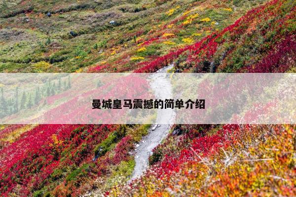 曼城皇马震撼的简单介绍