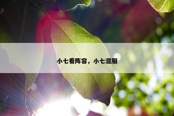 小七看阵容，小七混服