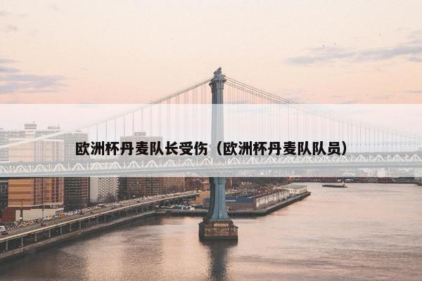 欧洲杯丹麦队长受伤（欧洲杯丹麦队队员）