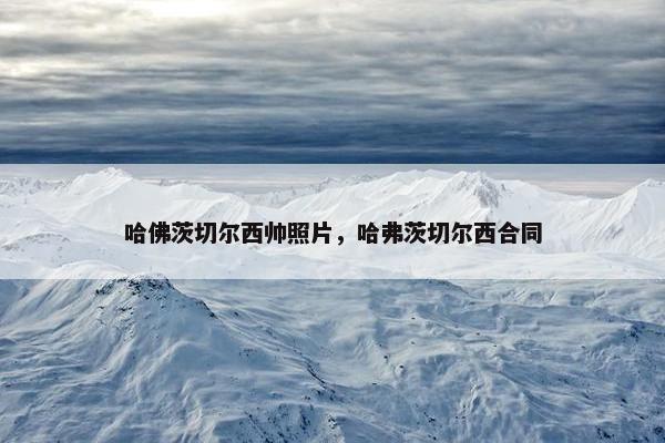 哈佛茨切尔西帅照片，哈弗茨切尔西合同