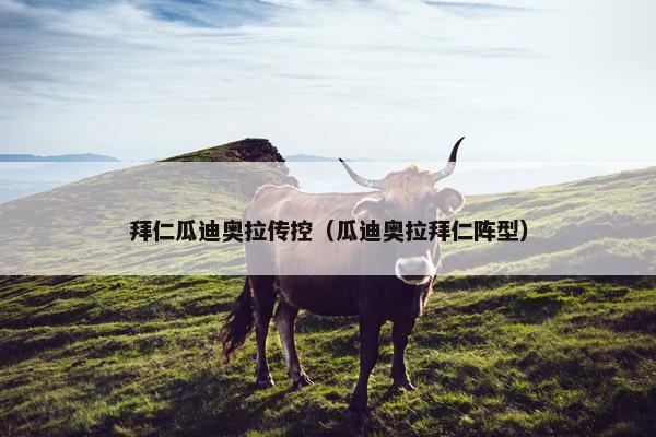 拜仁瓜迪奥拉传控（瓜迪奥拉拜仁阵型）