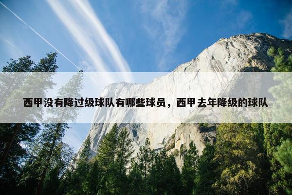 西甲没有降过级球队有哪些球员，西甲去年降级的球队