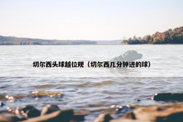 切尔西头球越位规（切尔西几分钟进的球）