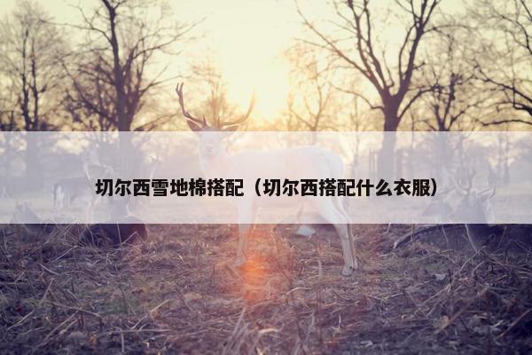切尔西雪地棉搭配（切尔西搭配什么衣服）