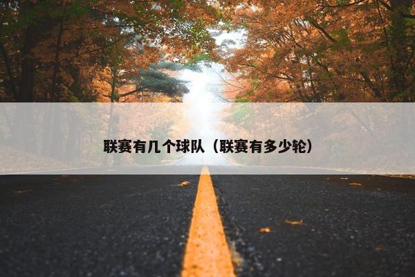 联赛有几个球队（联赛有多少轮）