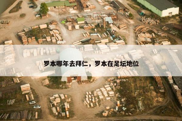 罗本哪年去拜仁，罗本在足坛地位