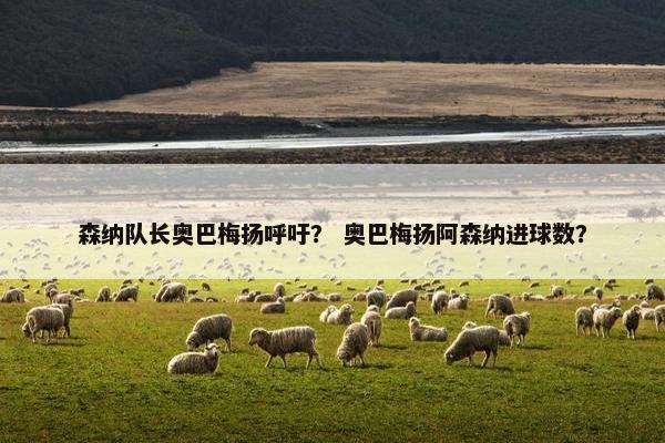 森纳队长奥巴梅扬呼吁？ 奥巴梅扬阿森纳进球数？
