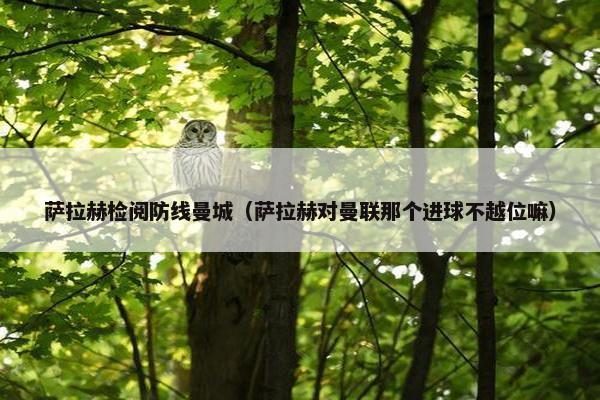萨拉赫检阅防线曼城（萨拉赫对曼联那个进球不越位嘛）