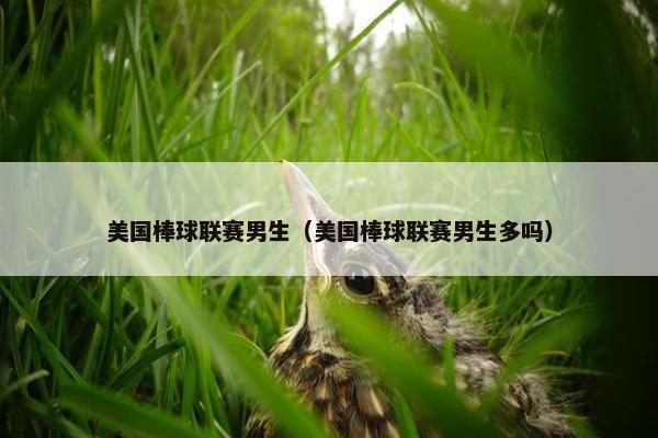美国棒球联赛男生（美国棒球联赛男生多吗）