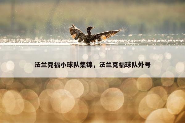 法兰克福小球队集锦，法兰克福球队外号