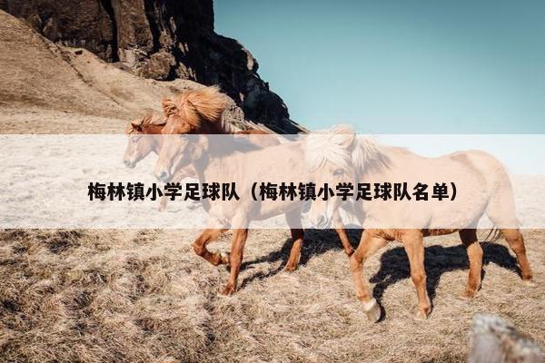 梅林镇小学足球队（梅林镇小学足球队名单）