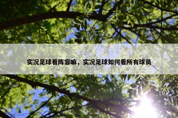 实况足球看阵容嘛，实况足球如何看所有球员