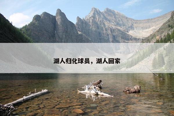 湖人归化球员，湖人回家