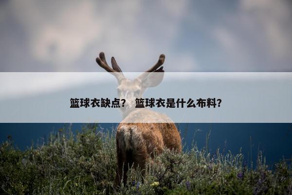篮球衣缺点？ 篮球衣是什么布料？