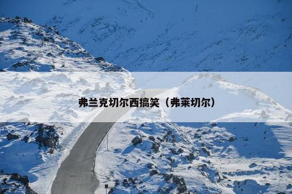 弗兰克切尔西搞笑（弗莱切尔）