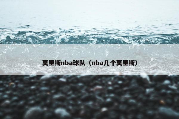 莫里斯nba球队（nba几个莫里斯）