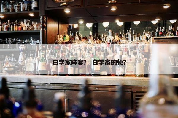 白学家阵容？ 白学家的梗？