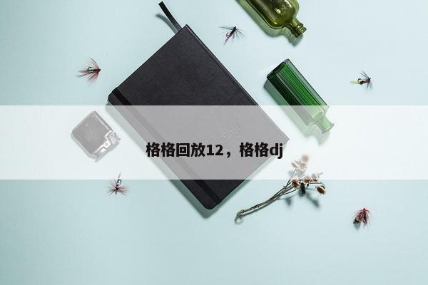 格格回放12，格格dj
