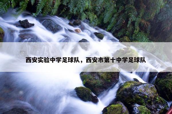 西安实验中学足球队，西安市第十中学足球队