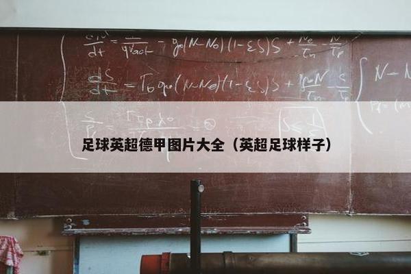 足球英超德甲图片大全（英超足球样子）