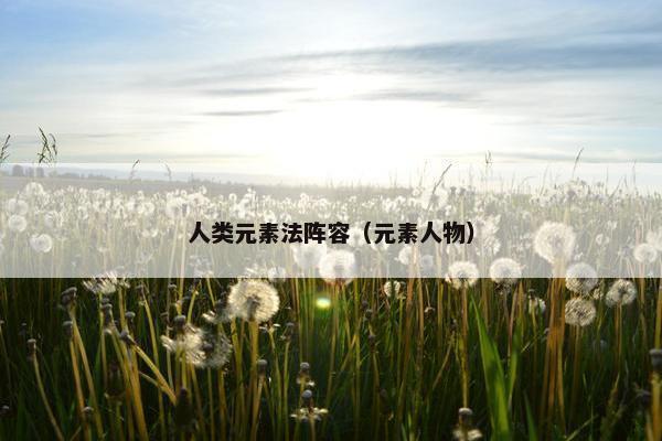 人类元素法阵容（元素人物）