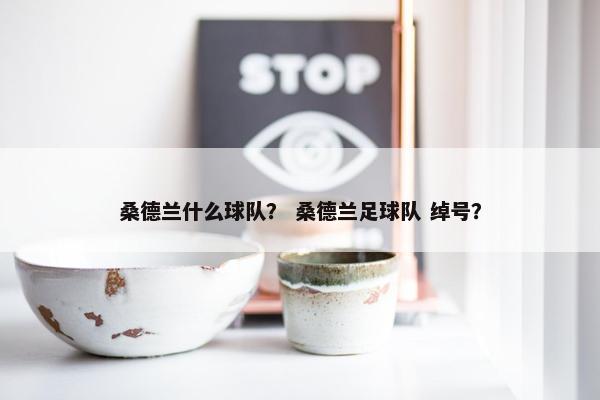 桑德兰什么球队？ 桑德兰足球队 绰号？