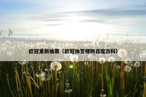 欧冠重新抽票（欧冠抽签规则百度百科）