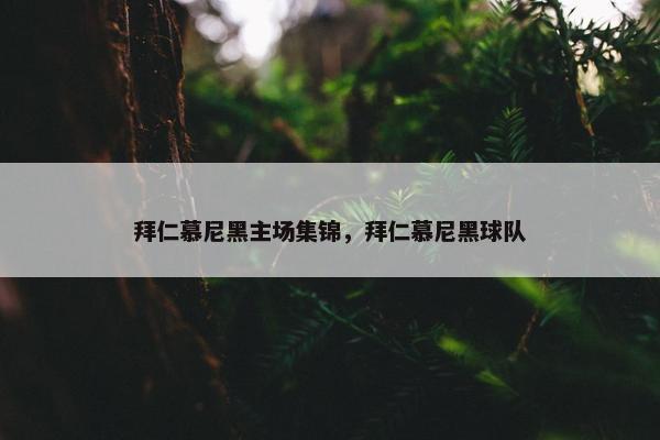 拜仁慕尼黑主场集锦，拜仁慕尼黑球队