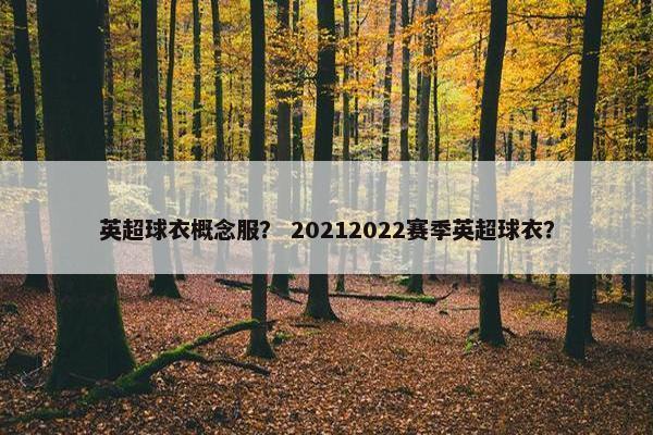 英超球衣概念服？ 20212022赛季英超球衣？