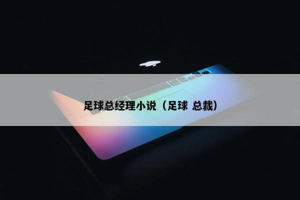 足球总经理小说（足球 总裁）