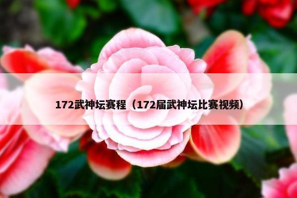 172武神坛赛程（172届武神坛比赛视频）
