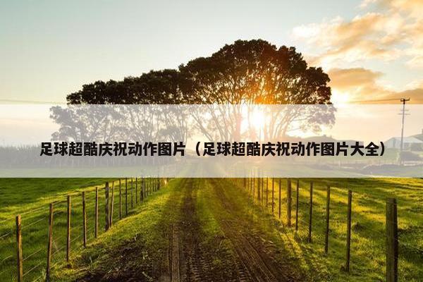 足球超酷庆祝动作图片（足球超酷庆祝动作图片大全）