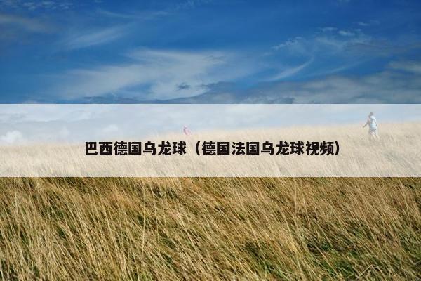 巴西德国乌龙球（德国法国乌龙球视频）