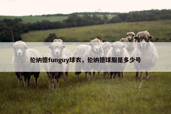 伦纳德funguy球衣，伦纳德球服是多少号