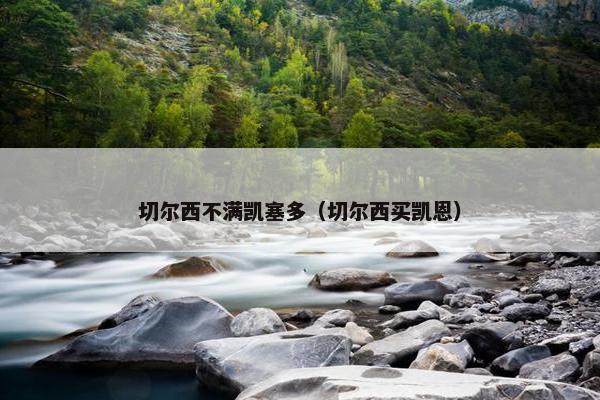 切尔西不满凯塞多（切尔西买凯恩）